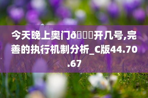 今天晚上奥门??开几号,完善的执行机制分析_C版44.70.67
