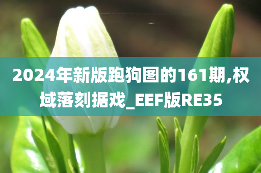 权域落刻 第10页