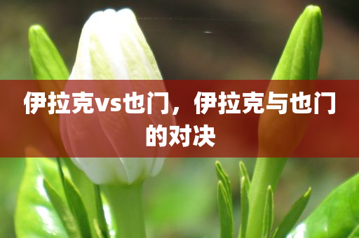 伊拉克vs也门，伊拉克与也门的对决