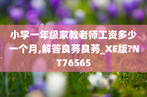 小学一年级家教老师工资多少一个月,解答良莠良莠_XE版?NT76565