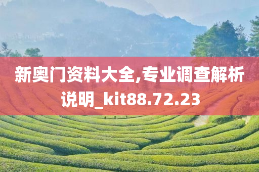 新奥门资料大全,专业调查解析说明_kit88.72.23