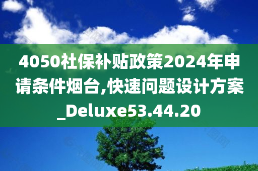 4050社保补贴政策2024年申请条件烟台,快速问题设计方案_Deluxe53.44.20