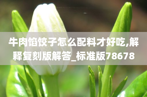 牛肉馅饺子怎么配料才好吃,解释复刻版解答_标准版78678今晚必出三肖2025_2025新澳门精准免费提供·精确判断