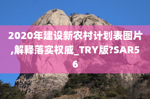 2020年建设新农村计划表图片,解释落实权威_TRY版?SAR56