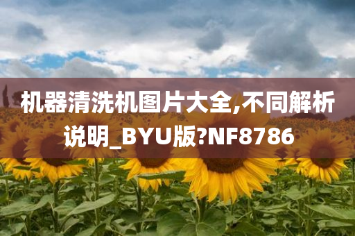 机器清洗机图片大全,不同解析说明_BYU版?NF8786