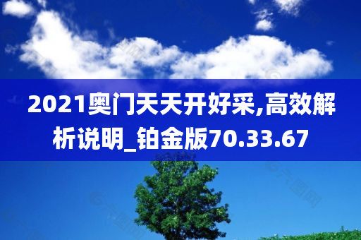 2021奥门天天开好采,高效解析说明_铂金版70.33.67