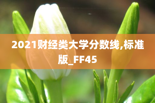 2021财经类大学分数线,标准版_FF45