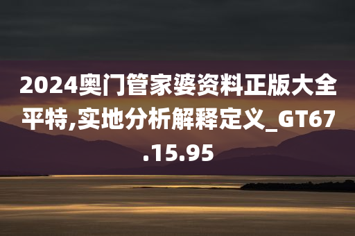 2024奥门管家婆资料正版大全平特,实地分析解释定义_GT67.15.95