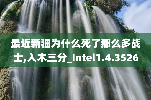 最近新疆为什么死了那么多战士,入木三分_Intel1.4.3526
