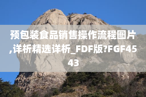 预包装食品销售操作流程图片,详析精选详析_FDF版?FGF4543