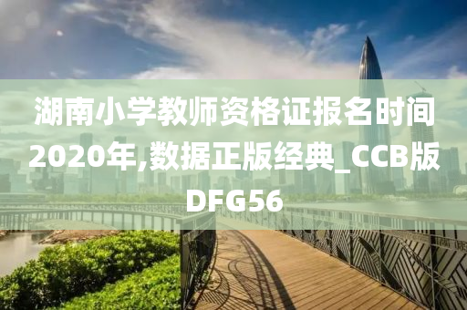 湖南小学教师资格证报名时间2020年,数据正版经典_CCB版DFG56