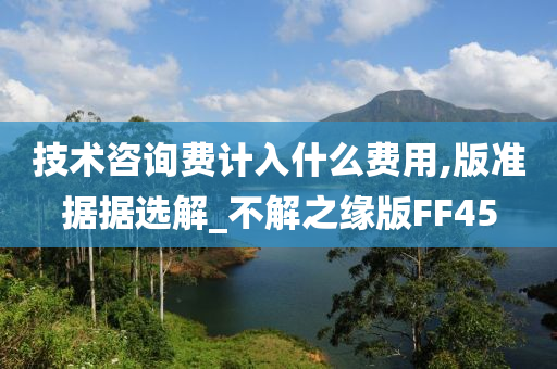 技术咨询费计入什么费用,版准据据选解_不解之缘版FF45