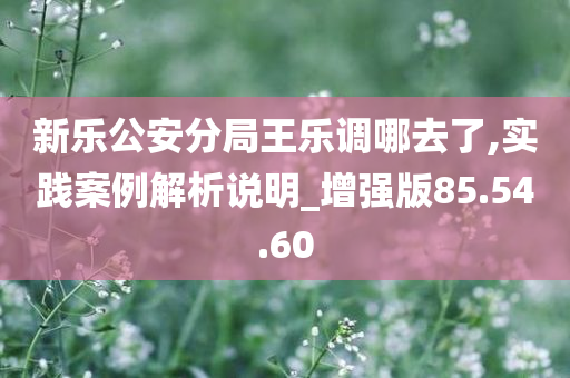 新乐公安分局王乐调哪去了,实践案例解析说明_增强版85.54.60