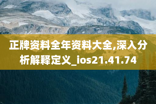 正牌资料全年资料大全,深入分析解释定义_ios21.41.74