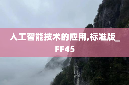 人工智能技术的应用,标准版_FF45