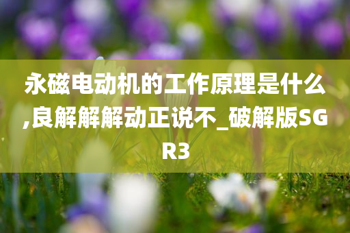 永磁电动机的工作原理是什么,良解解解动正说不_破解版SGR3