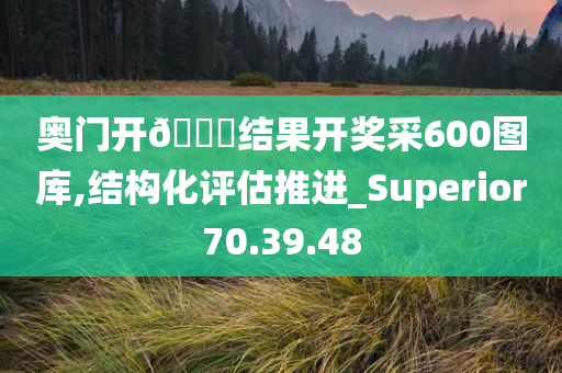 奥门开??结果开奖采600图库,结构化评估推进_Superior70.39.48