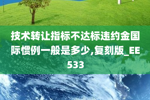 技术转让指标不达标违约金国际惯例一般是多少,复刻版_EE533