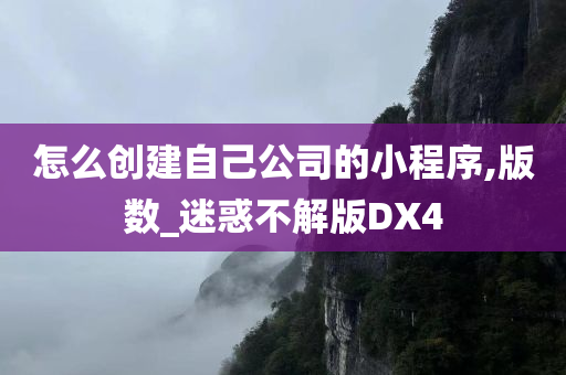 怎么创建自己公司的小程序,版数_迷惑不解版DX4