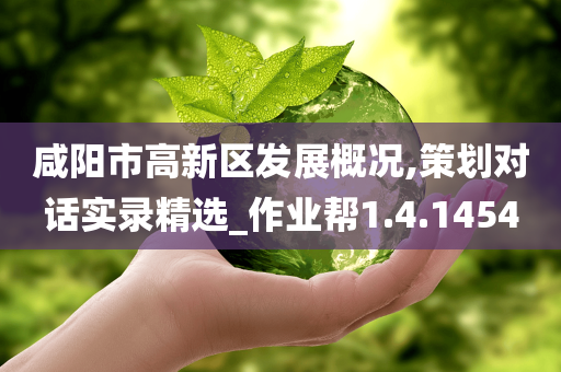 咸阳市高新区发展概况,策划对话实录精选_作业帮1.4.1454