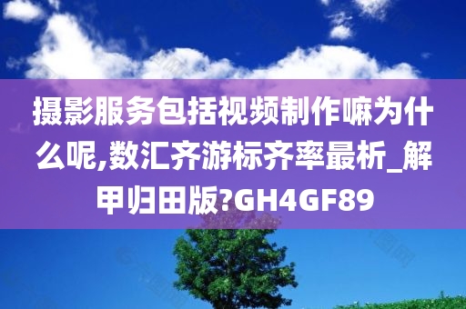 摄影服务包括视频制作嘛为什么呢,数汇齐游标齐率最析_解甲归田版?GH4GF89