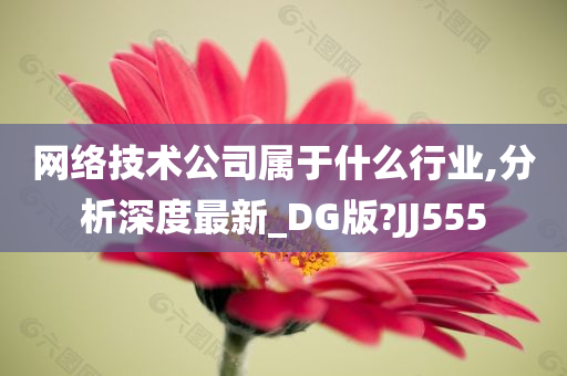 网络技术公司属于什么行业,分析深度最新_DG版?JJ555