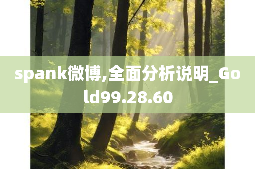 spank微博,全面分析说明_Gold99.28.60