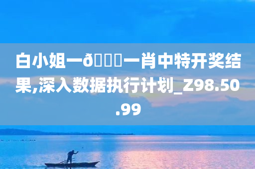 白小姐一??一肖中特开奖结果,深入数据执行计划_Z98.50.99