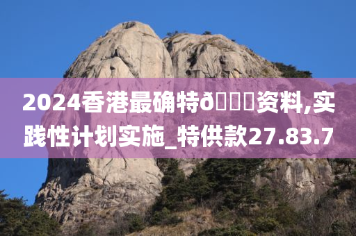2024香港最确特??资料,实践性计划实施_特供款27.83.70
