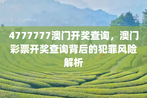 4777777澳门开奖查询，澳门彩票开奖查询背后的犯罪风险解析