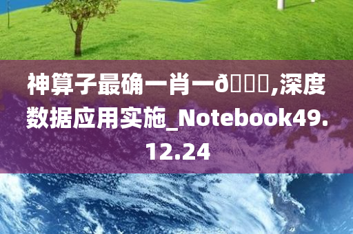 神算子最确一肖一??,深度数据应用实施_Notebook49.12.24