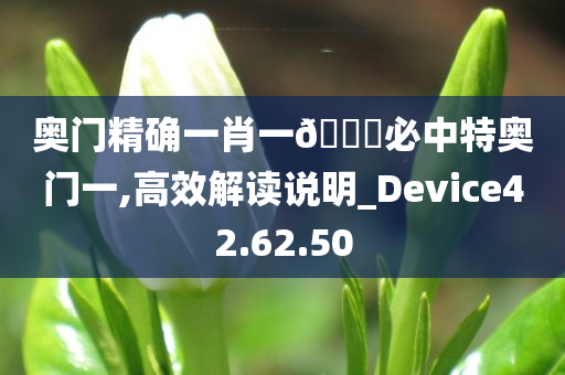 chenjiayi 第85页