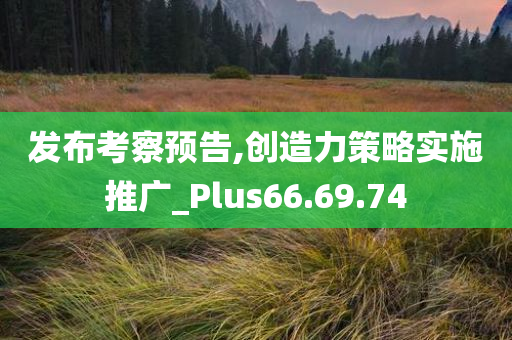 发布考察预告,创造力策略实施推广_Plus66.69.74