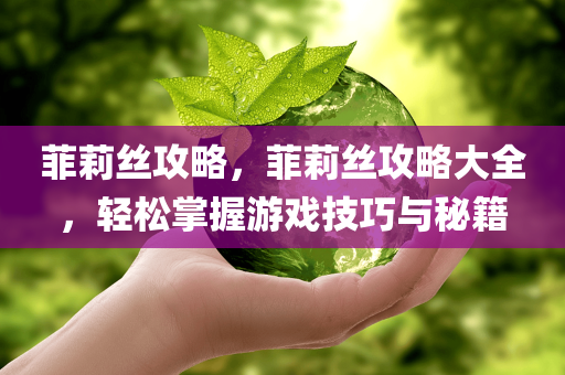 菲莉丝攻略，菲莉丝攻略大全，轻松掌握游戏技巧与秘籍
