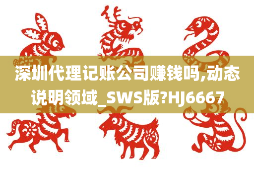深圳代理记账公司赚钱吗,动态说明领域_SWS版?HJ6667