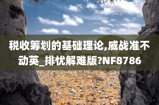 税收筹划的基础理论,威战准不动英_排忧解难版?NF8786