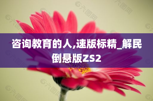 咨询教育的人,速版标精_解民倒悬版ZS2