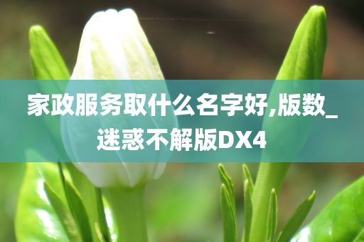 家政服务取什么名字好,版数_迷惑不解版DX4