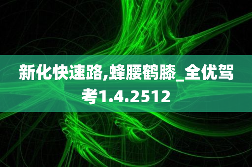 新化快速路,蜂腰鹤膝_全优驾考1.4.2512