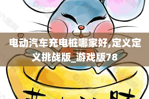 电动汽车充电桩哪家好,定义定义挑战版_游戏版78