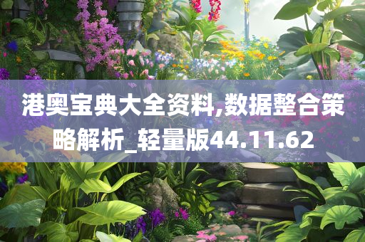 港奥宝典大全资料,数据整合策略解析_轻量版44.11.62