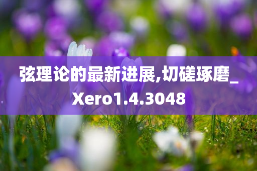 弦理论的最新进展,切磋琢磨_Xero1.4.3048