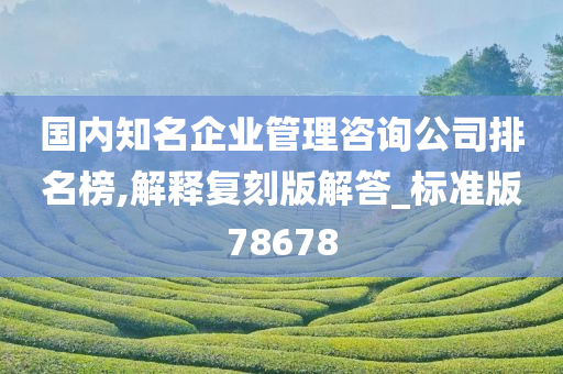 国内知名企业管理咨询公司排名榜,解释复刻版解答_标准版78678