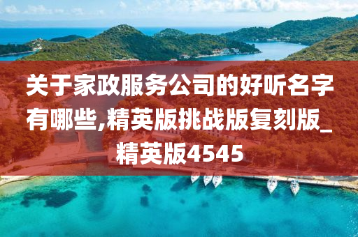 关于家政服务公司的好听名字有哪些,精英版挑战版复刻版_精英版4545