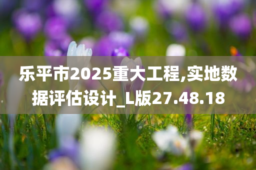 乐平市2025重大工程,实地数据评估设计_L版27.48.18