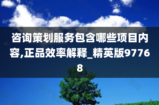 咨询策划服务包含哪些项目内容,正品效率解释_精英版97768