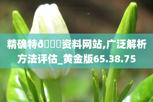 精确特??资料网站,广泛解析方法评估_黄金版65.38.75