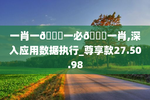 一肖一??一必??一肖,深入应用数据执行_尊享款27.50.98