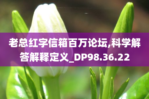 老总红字信箱百万论坛,科学解答解释定义_DP98.36.22