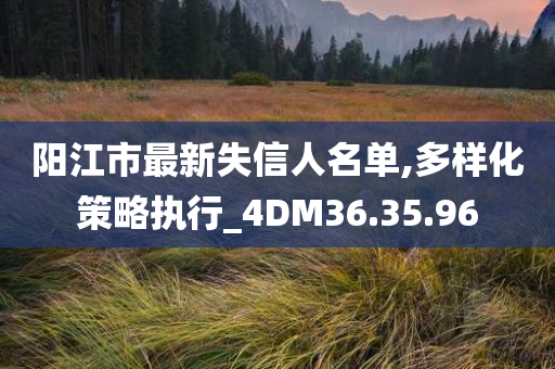 阳江市最新失信人名单,多样化策略执行_4DM36.35.96